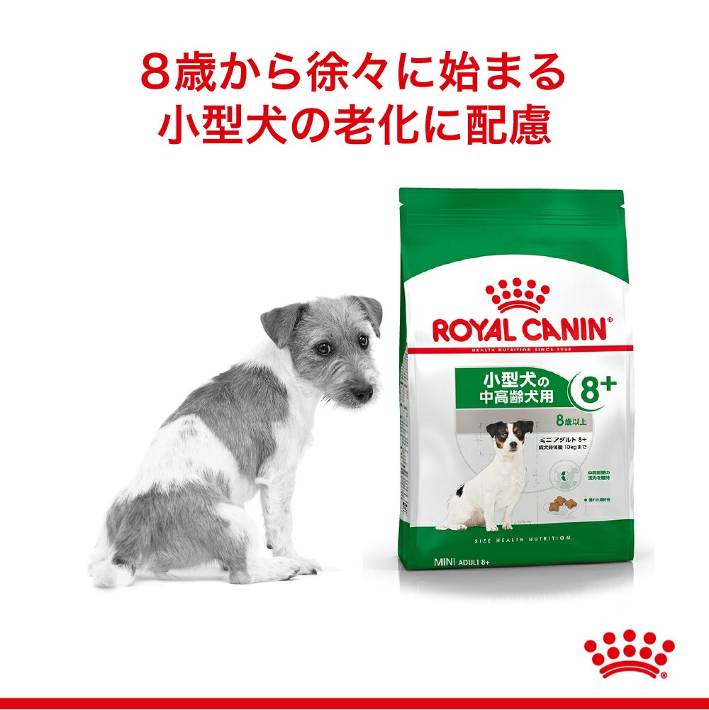 【8kg×2袋】ロイヤルカナン ミニ アダルト 8+ (犬・ドッグ) [正規品]｜sweet-pet｜02