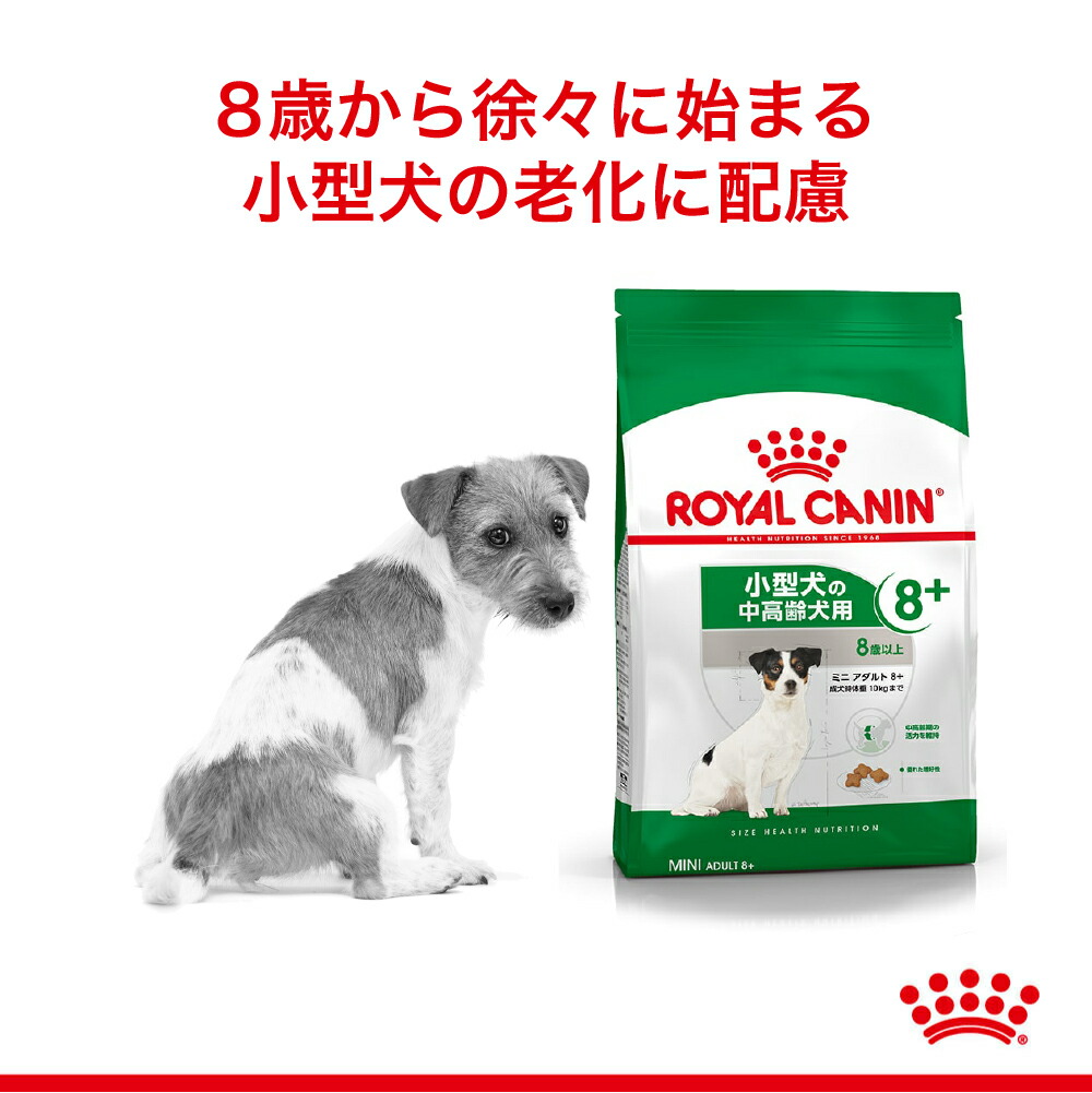 ロイヤルカナン ミニ アダルト 8+ 8kg (犬・ドッグ) [正規品