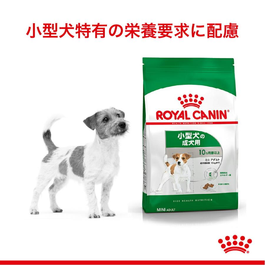 【2kg×5袋】ロイヤルカナン ミニアダルト(犬・ドッグ) [正規品]｜sweet-pet｜02