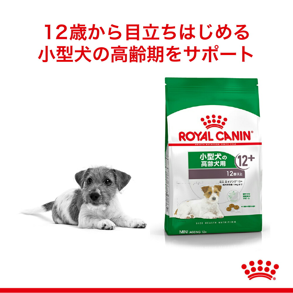 【800g×5袋】ロイヤルカナン ミニエイジング12+(犬・ドッグ) [正規品]｜sweet-pet｜02