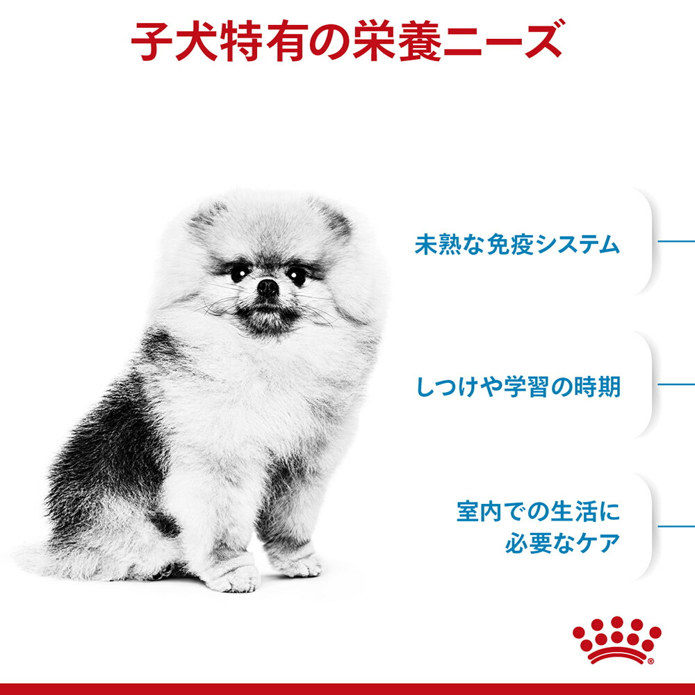 【2kg×3袋】ロイヤルカナン ミニインドアパピー (犬・ドッグ) [正規品]｜sweet-pet｜02