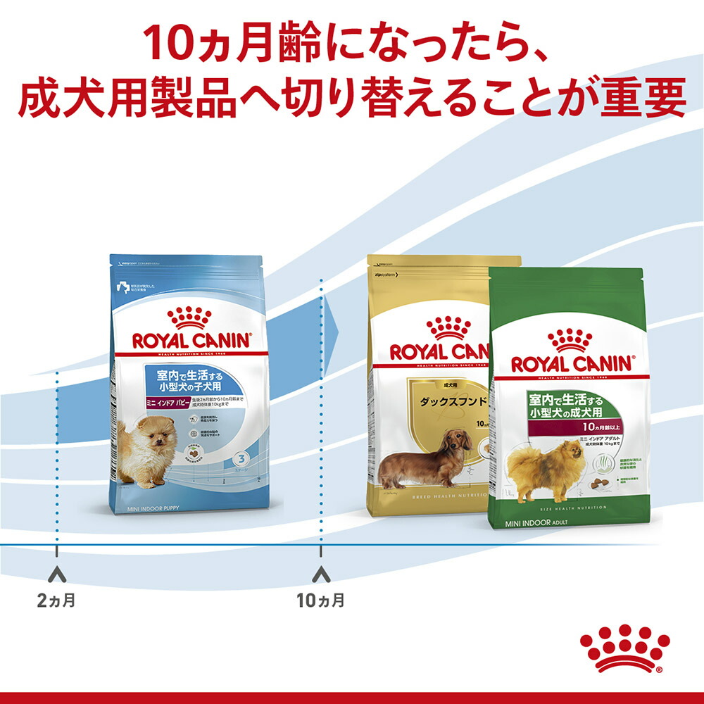 【4kg×4袋】ロイヤルカナン ミニインドアパピー (犬・ドッグ) [正規品]｜sweet-pet｜05