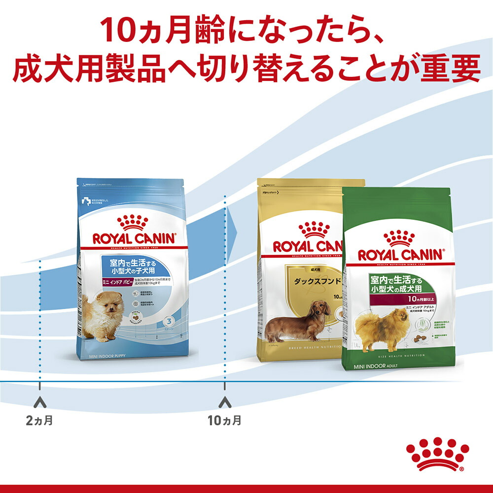 800g×5袋】ロイヤルカナン ミニインドアパピー (犬・ドッグ) [正規品