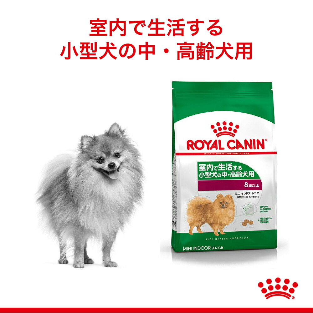 【2kg×5袋】ロイヤルカナン ミニインドアシニア(犬・ドッグ) [正規品]｜sweet-pet｜02