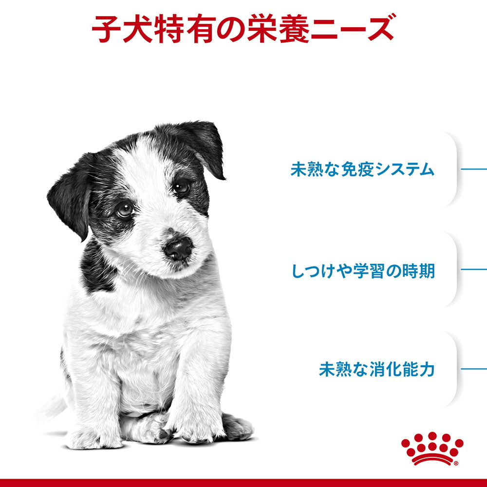 【8kg×2袋】ロイヤルカナン ミニパピー (犬・ドッグ)[正規品]｜sweet-pet｜02