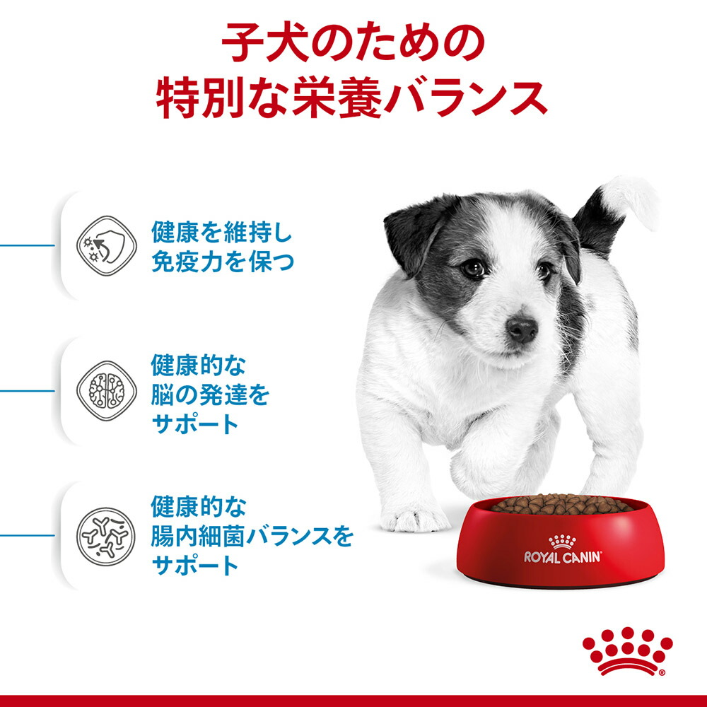 ロイヤルカナン ミニパピー 2kg (犬・ドッグ) [正規品] : 77450369 
