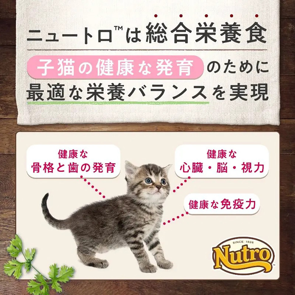 ニュートロ 【35g×12袋】ニュートロ デイリー ディッシュ 子猫用