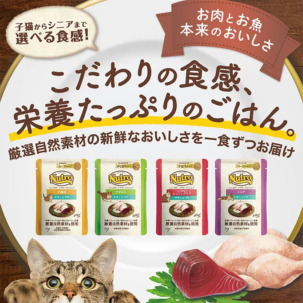 ニュートロ 【35g×12袋】ニュートロ デイリー ディッシュ シニア猫用