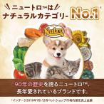 ニュートロ ワイルドレシピ 超小型犬〜小型犬 ...の詳細画像1