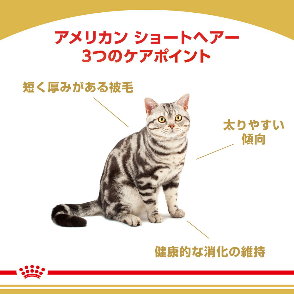 ロイヤルカナン アメリカンショートヘアー 2kg (猫・キャット) [正規品] キャットフード ドライ