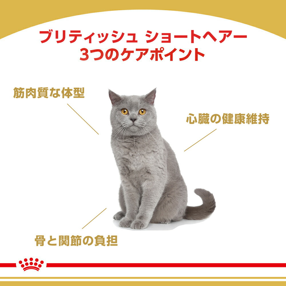 ロイヤルカナン ブリティッシュショートヘアー 2kg (猫・キャット) [正規品] キャットフード ドライ