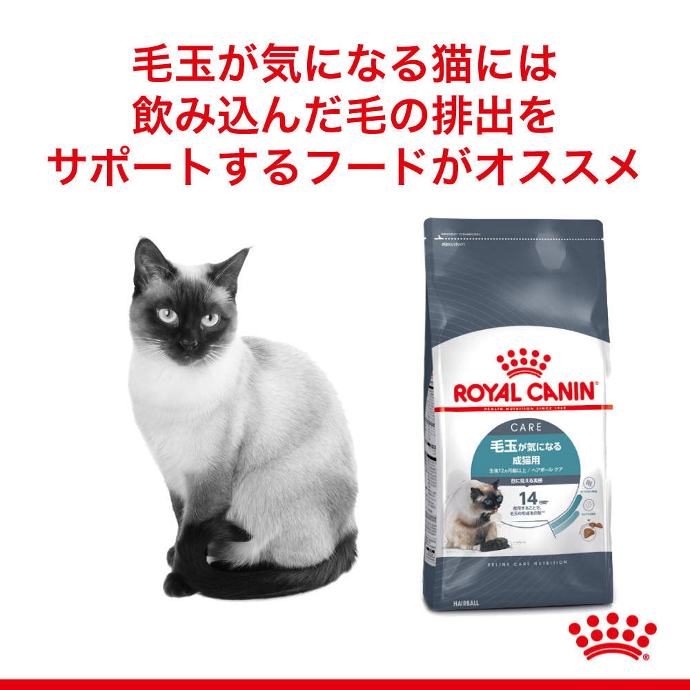 【2kg×2袋】ロイヤルカナン ヘアボール ケア (猫・キャット)[正規品]｜sweet-pet｜02