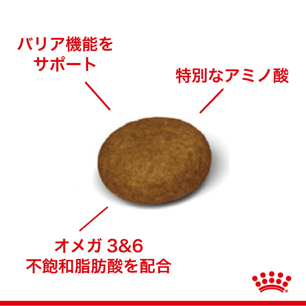 ロイヤルカナン ヘアー＆スキン猫用 2kg (猫・キャット) [正規品] : 77687341 : スイートペットYahoo!店 - 通販 -  Yahoo!ショッピング