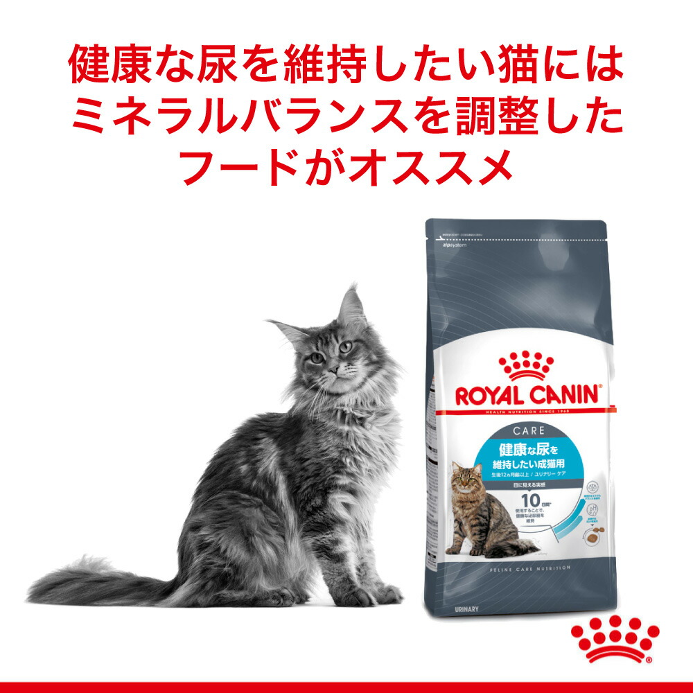 【2kg×4袋】ロイヤルカナン ユリナリー ケア (猫・キャット)[正規品]｜sweet-pet｜02