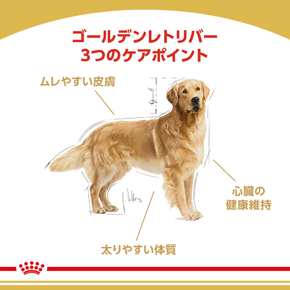 【3kg×3袋】ロイヤルカナン ゴールデンレトリバー 成犬・高齢犬用 (犬・ドッグ) [正規品]｜sweet-pet｜02