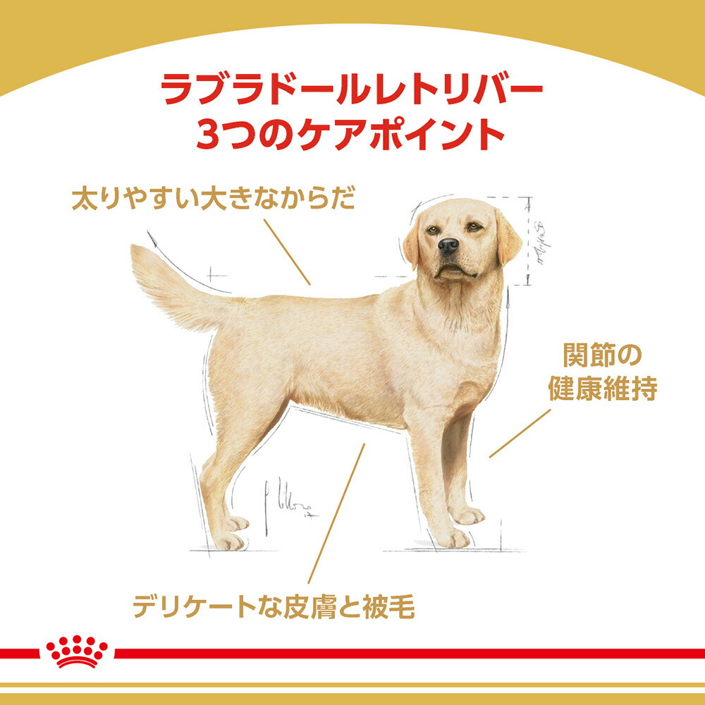 ロイヤルカナン ラブラドールレトリバー 成犬・高齢犬用 12kg (犬・ドッグ) [正規品] ドッグフード シニア 犬 ドライフード｜sweet-pet｜02