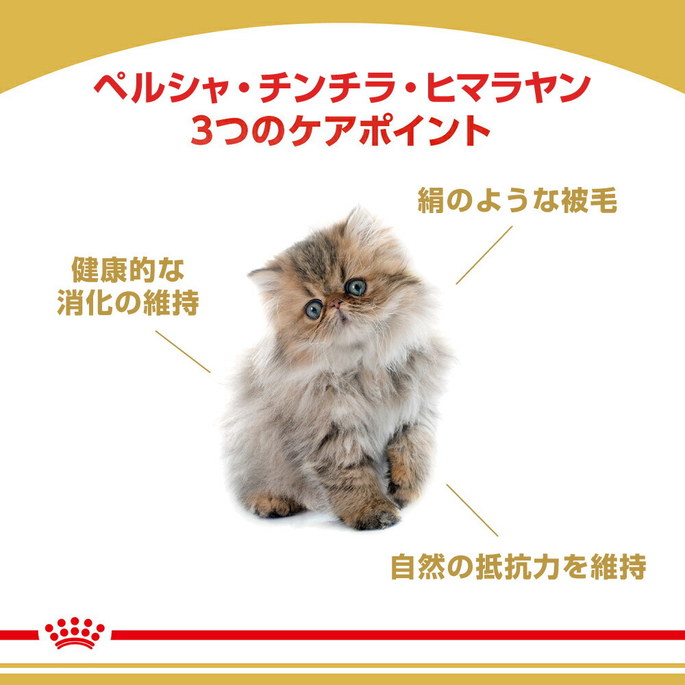 ロイヤルカナン 子猫 ペルシャ・チンチラ・ヒマラヤン 子猫用 2kg (猫 