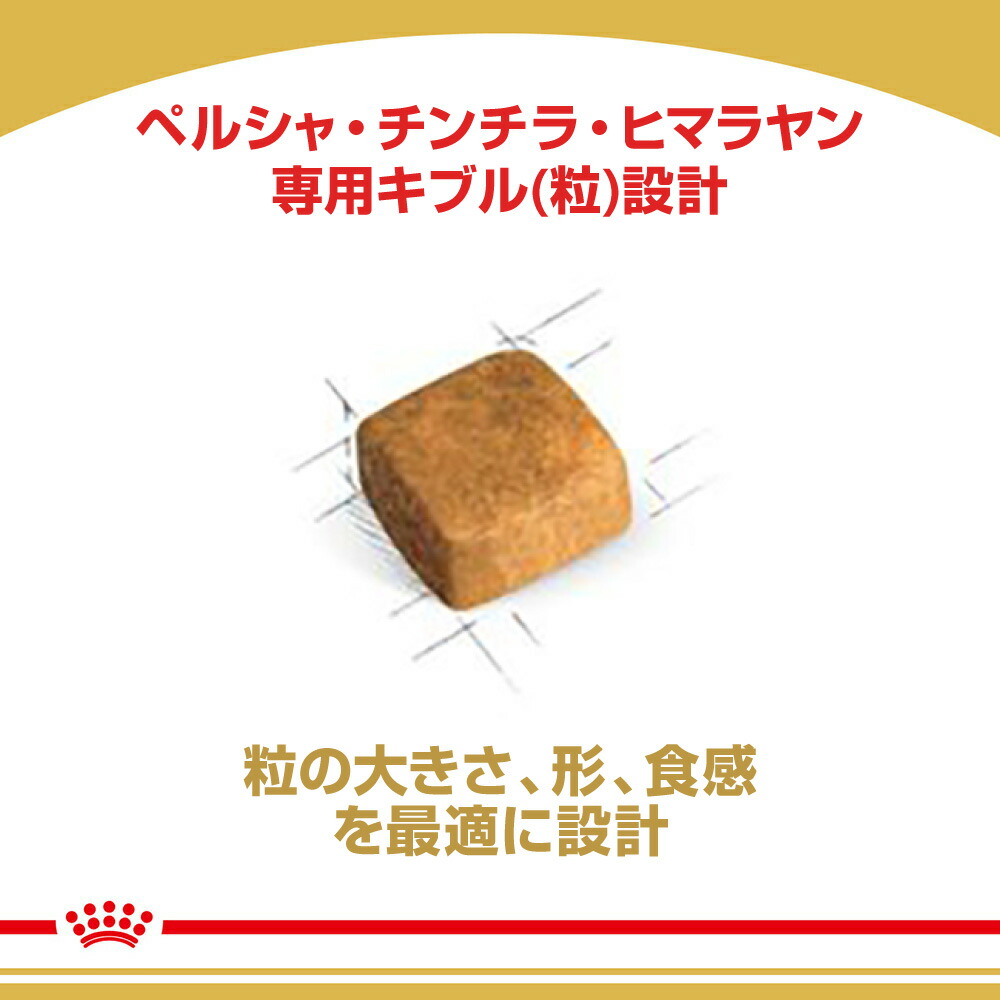 2kg×6袋】ロイヤルカナン ペルシャ・チンチラ・ヒマラヤン 子猫用 (猫・キャット) [正規品] : set1853ro :  スイートペットYahoo!店 - 通販 - Yahoo!ショッピング