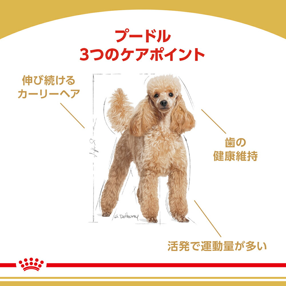 【800g×5袋】ロイヤルカナン プードル中・高齢犬用 (犬・ドッグ) [正規品]｜sweet-pet｜02