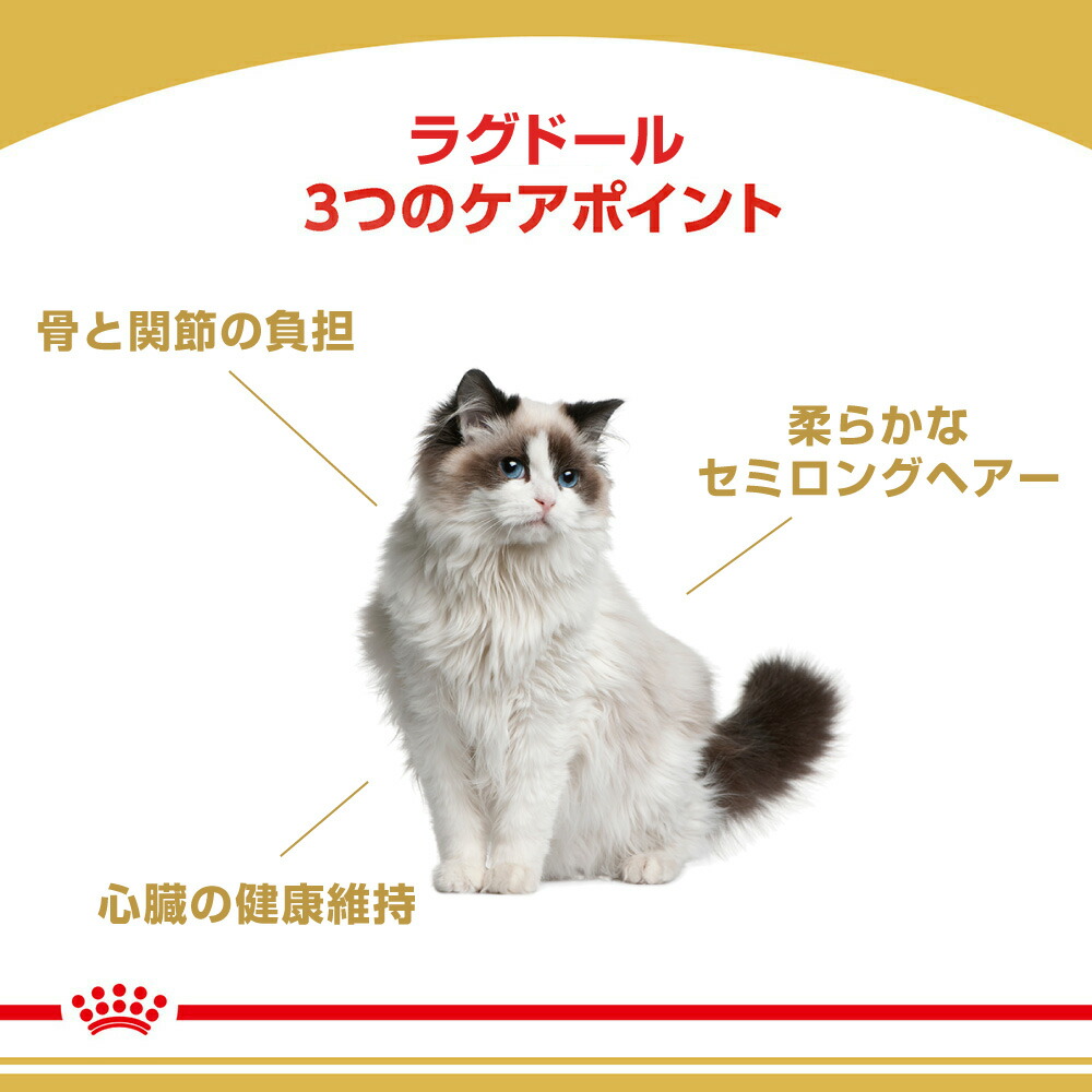 【2kg×4袋】ロイヤルカナン ラグドール  (猫・キャット)[正規品]｜sweet-pet｜02
