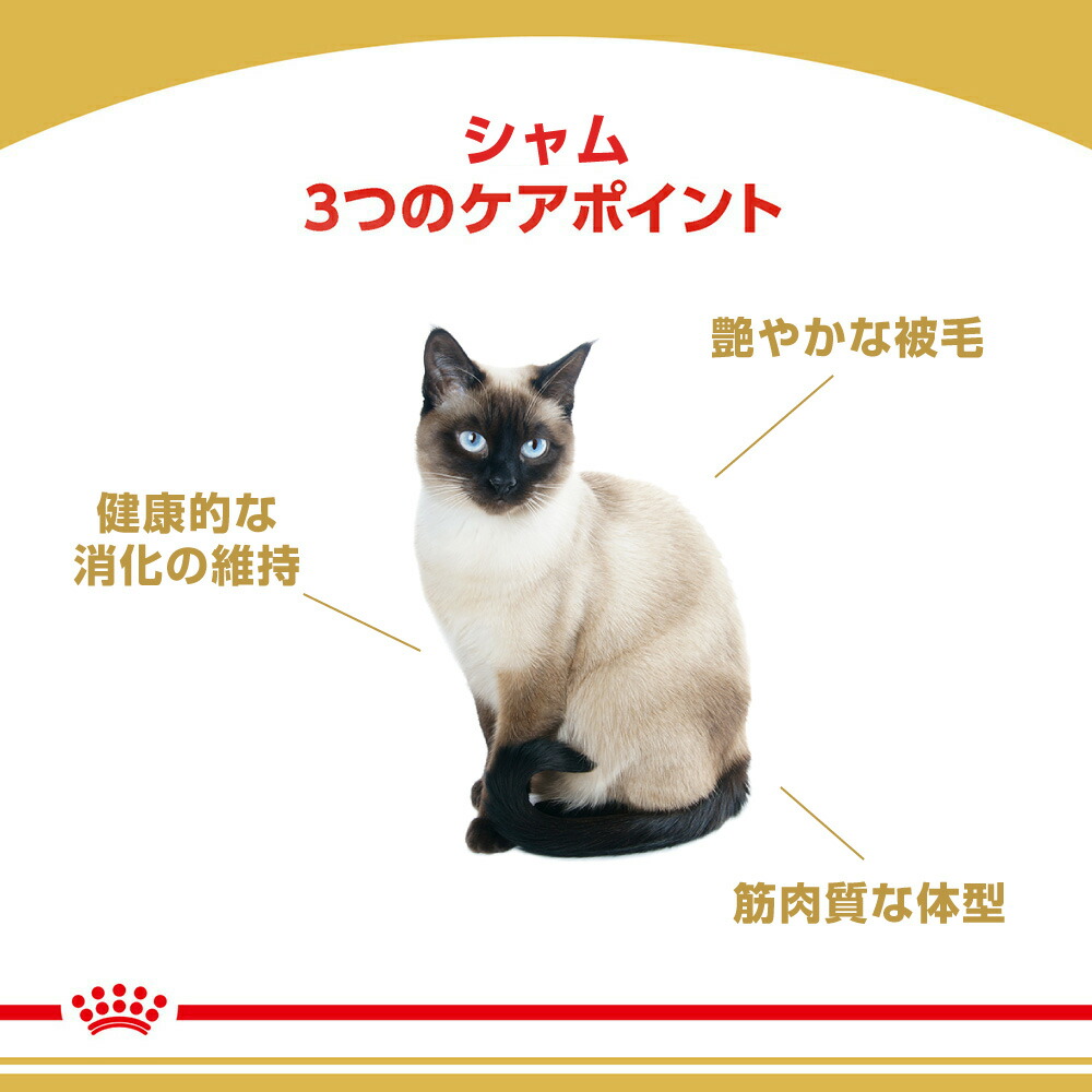 【2kg×6袋】ロイヤルカナン シャム (猫・キャット)[正規品]｜sweet-pet｜02