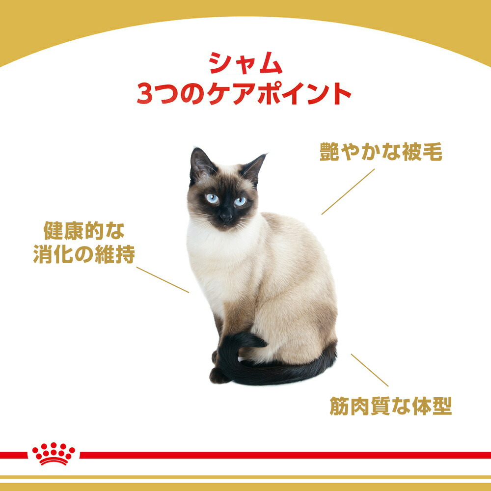 ロイヤルカナン シャム 成猫用 2kg (猫・キャット) [正規品]｜sweet-pet｜02