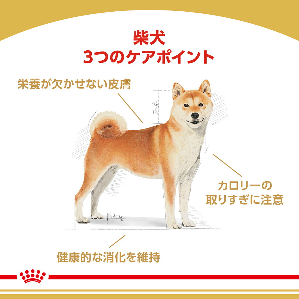 ロイヤルカナン 柴犬 成犬用 3kg (犬・ドッグ) [正規品] 犬 ドライフード ドッグフード｜sweet-pet｜02