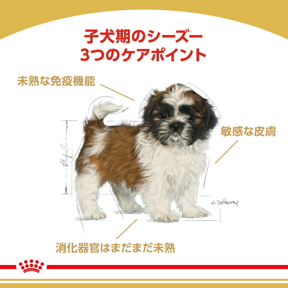 【1.5kg×6袋】ロイヤルカナン シーズー 子犬用 (犬・ドッグ) [正規品]｜sweet-pet｜02