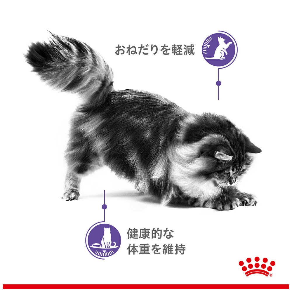 【85g×12袋】ロイヤルカナン FCN-WE...の詳細画像1