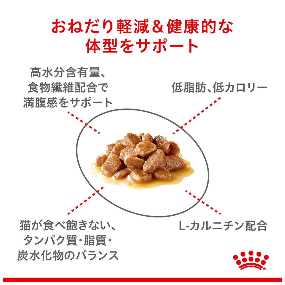 【85g×12袋】ロイヤルカナン FCN-WE...の詳細画像3