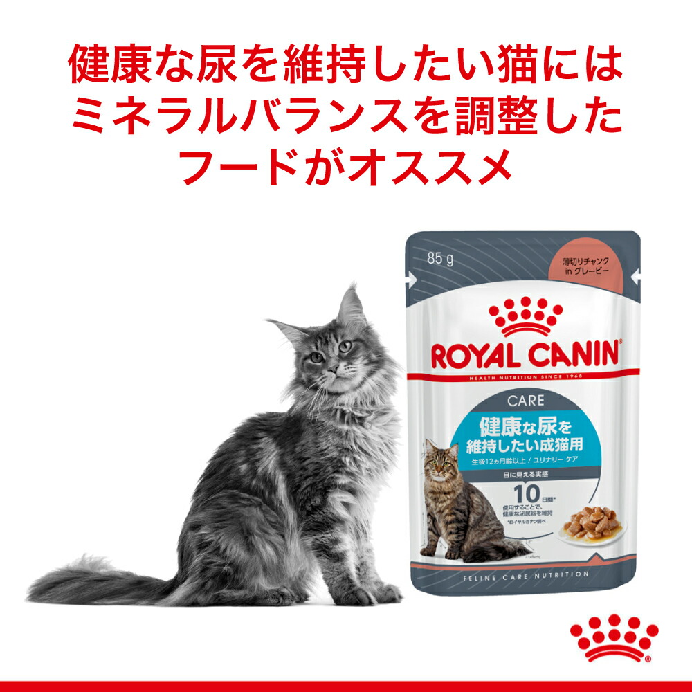 【85g×48袋】ロイヤルカナン FCN-WET ユリナリー ケア (猫・キャット)[正規品]｜sweet-pet｜02