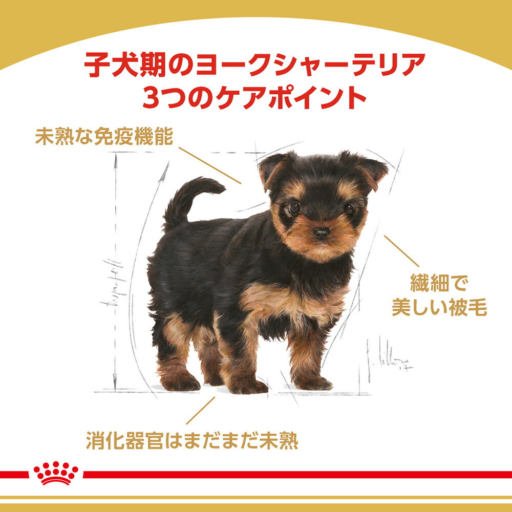 【1.5kg×6袋】ロイヤルカナン ヨークシャーテリア 子犬用 (犬・ドッグ) [正規品]｜sweet-pet｜02