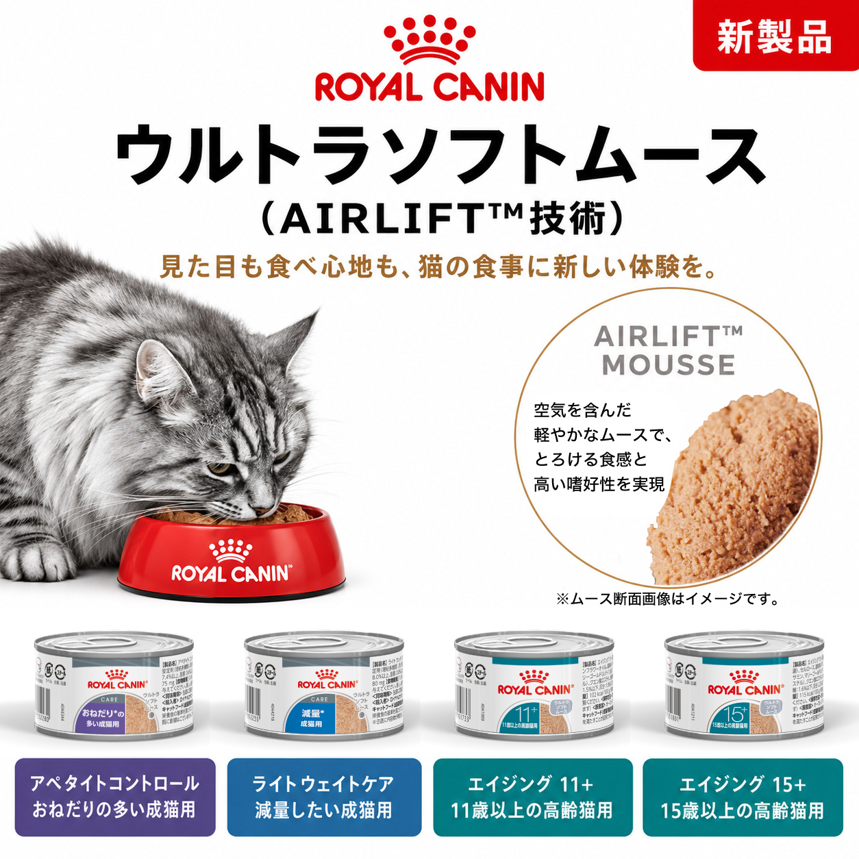 フィーライン ヘルス ニュートリション 【85g×6缶】ロイヤルカナン FHN