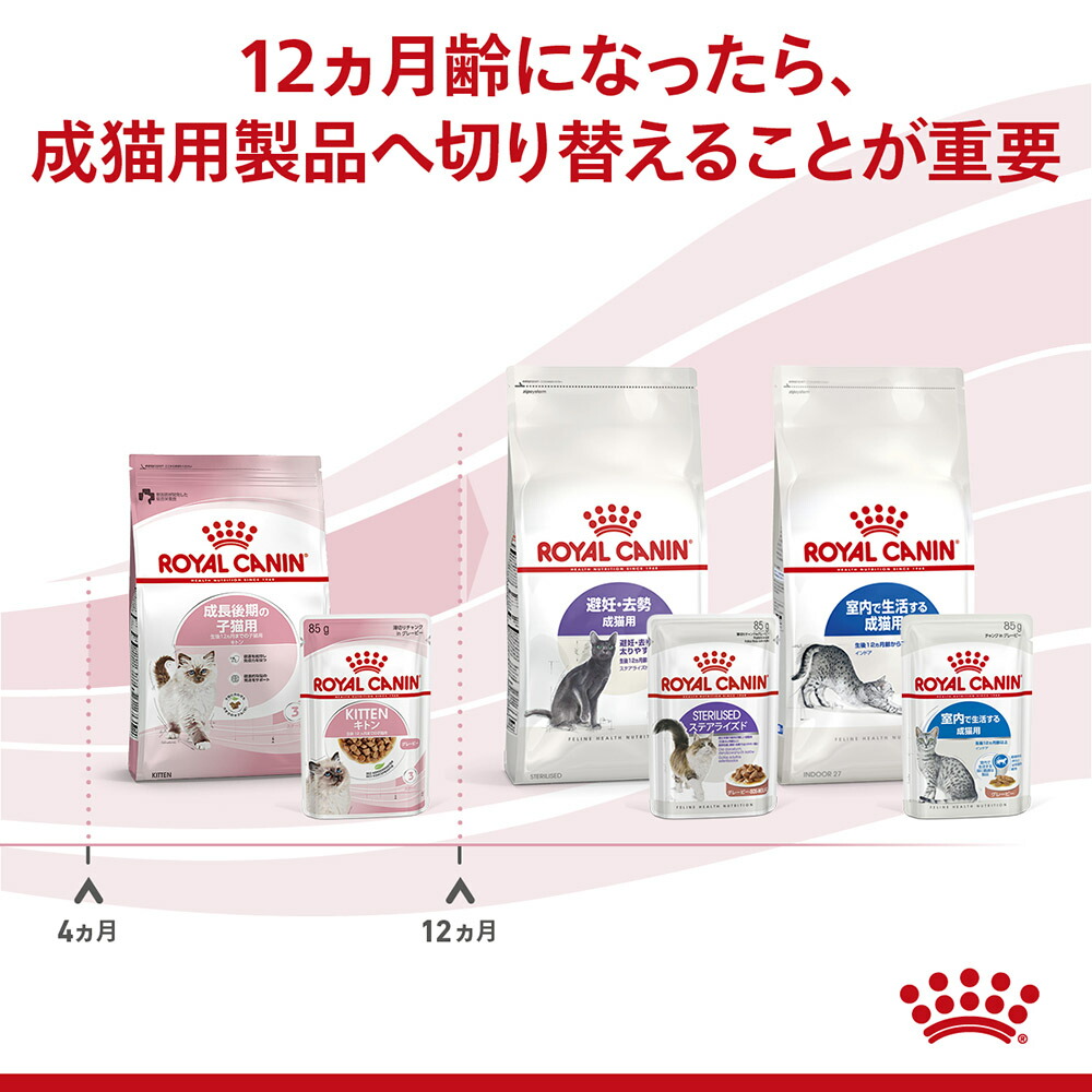 【85g×12袋】ロイヤルカナン FHN-WET キトン グレービー (猫・キャット) [正規品]｜sweet-pet｜05