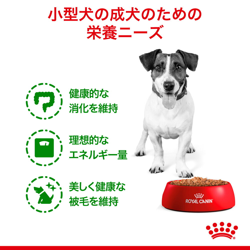 【85g×12袋】ロイヤルカナン ウェットフード ミニアダルト 成犬用 10ヶ月以上(犬・ドッグ)[正規品]