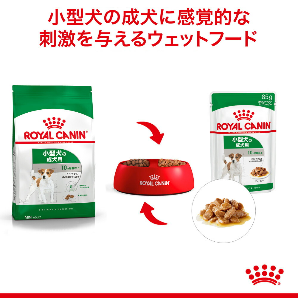 【85g×12袋】ロイヤルカナン ウェットフード ミニアダルト 成犬用 10ヶ月以上(犬・ドッグ)[正規品]