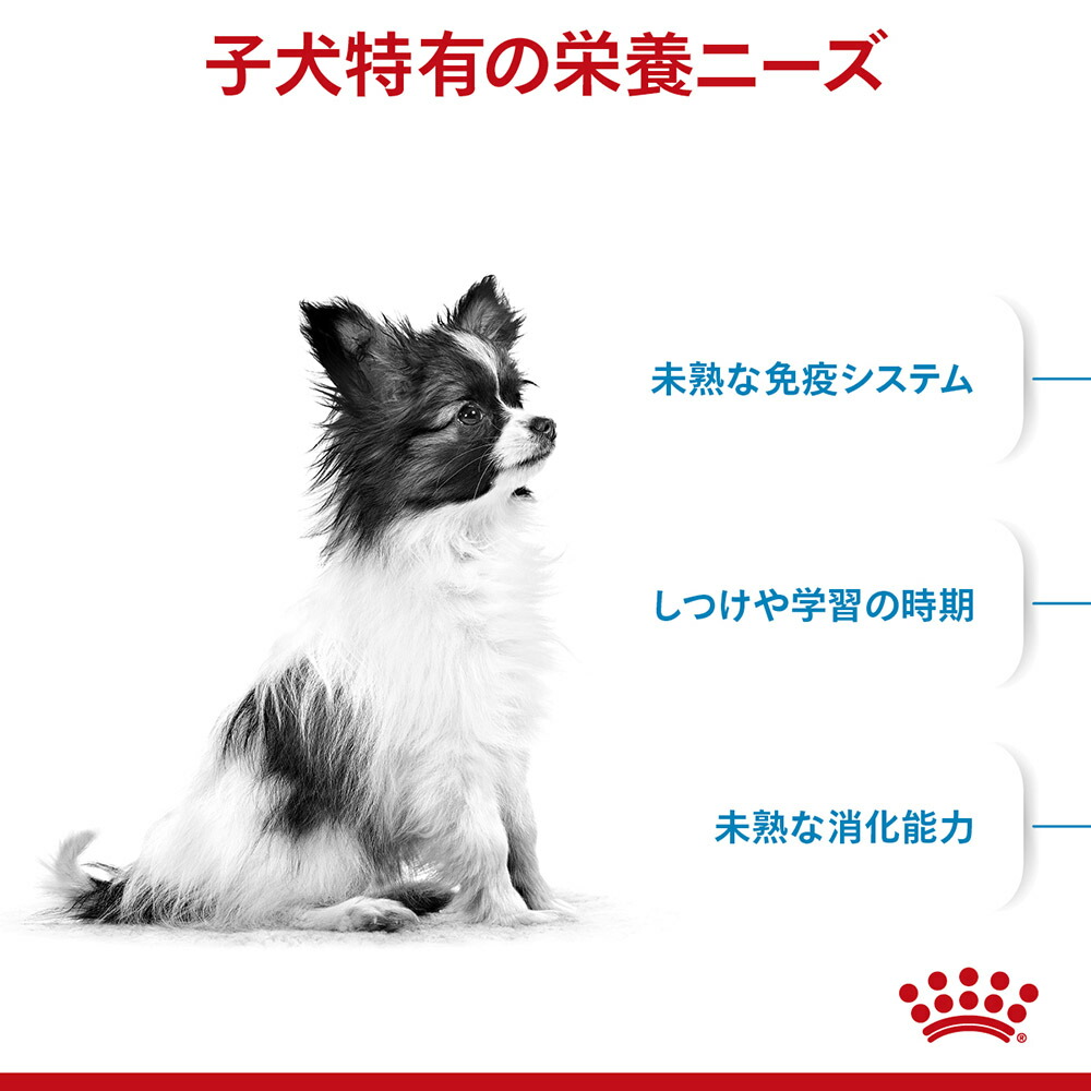 【3kg×3袋】ロイヤルカナン エクストラスモールパピー (犬・ドッグ) [正規品]｜sweet-pet｜02
