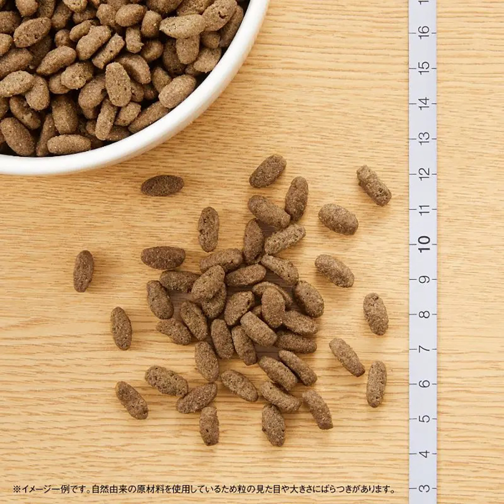 MARS ニュートロ ナチュラルチョイス ミートシリーズ 室内猫用 キトン