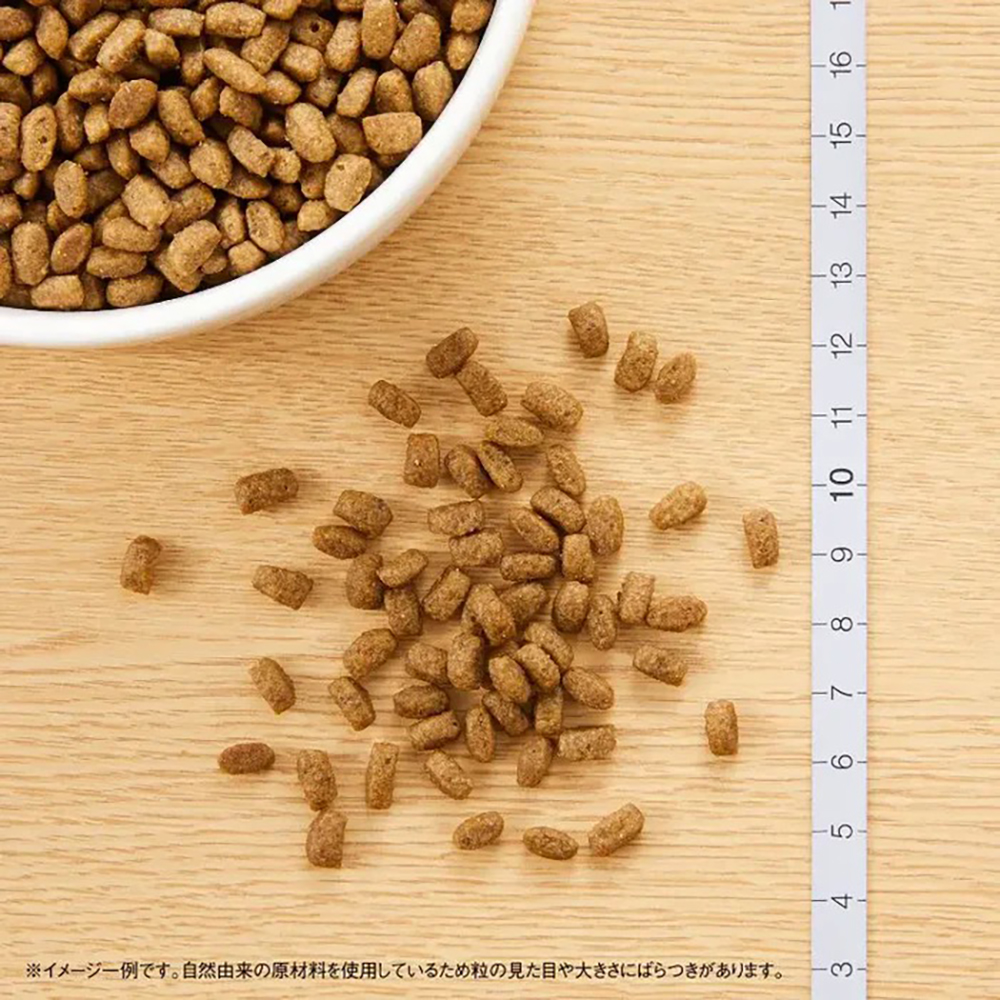 nutro 室内猫用 3kg 業務用 4袋セット 子猫用 ペット用品 nutro 室内
