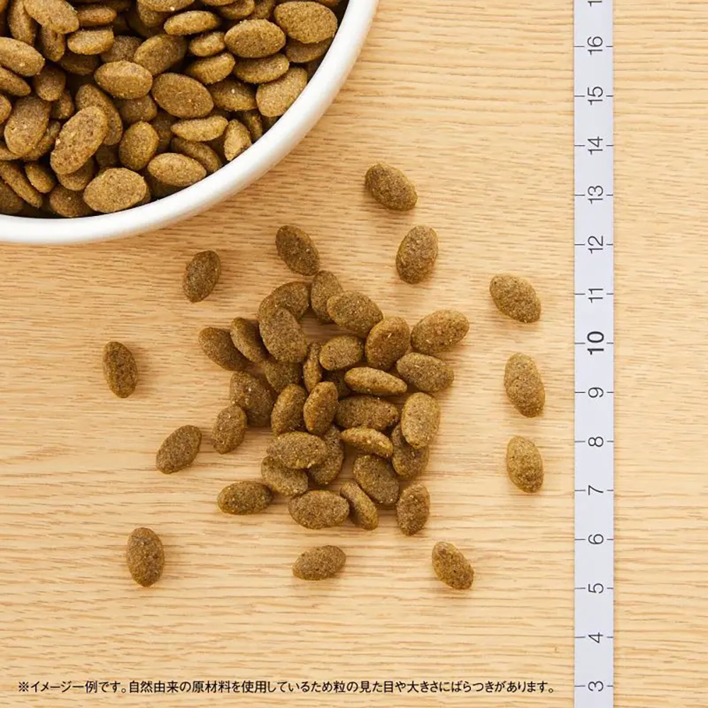 ニュートロ ナチュラルチョイス チキンサーモン各2袋　合計12kg MARS 【2kg×2袋】ニュートロ ナチュラルチョイス スペシャルケア 穀物