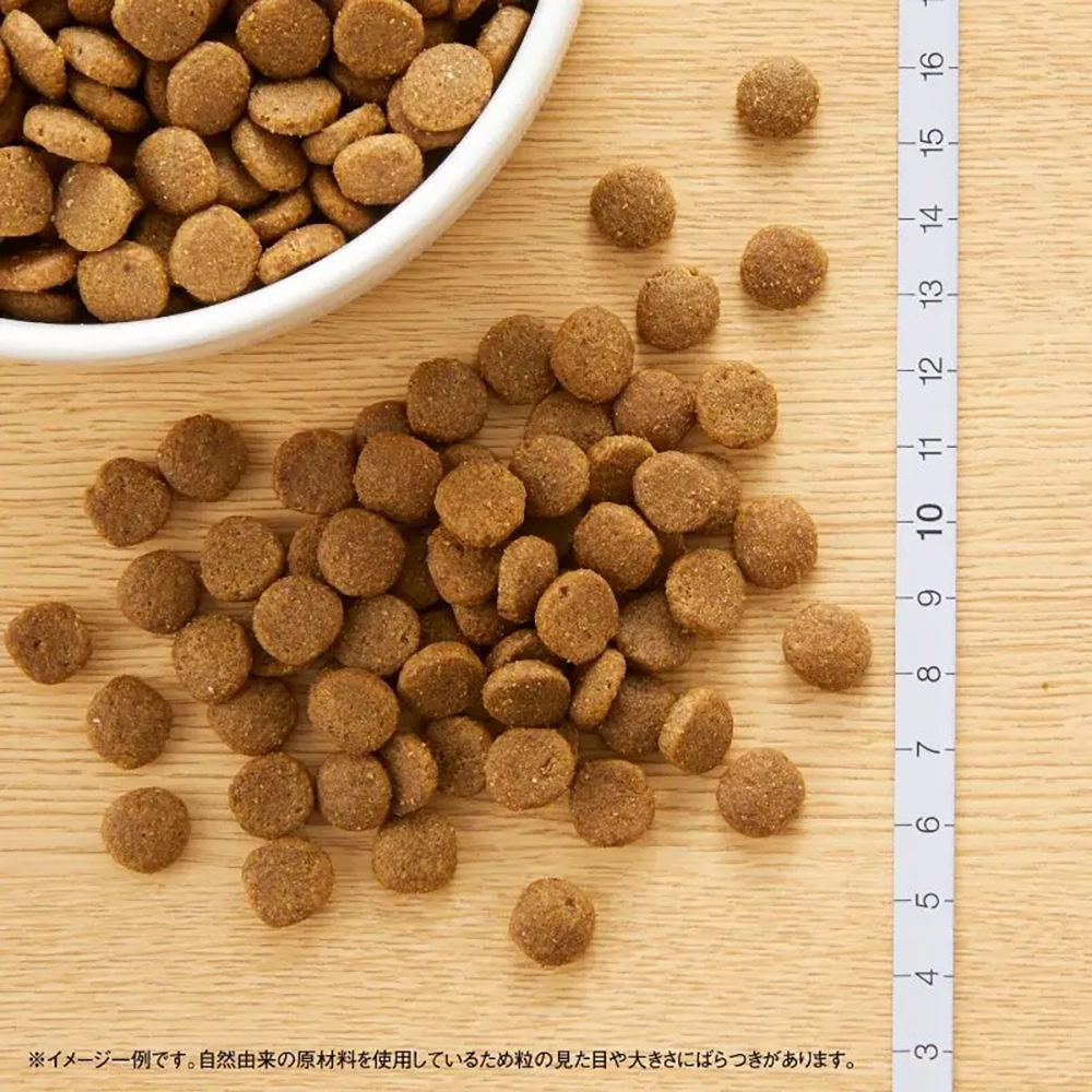 MARS ニュートロ ワイルドレシピ アダルト チキン 成猫用 2kg (猫