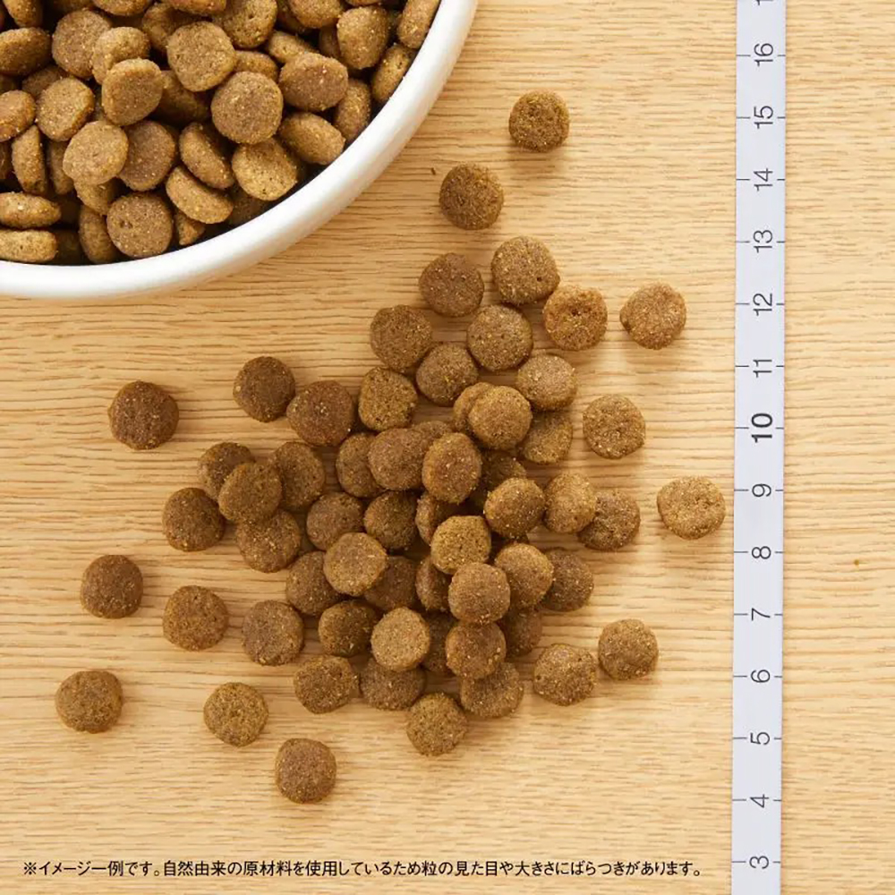 MARS ニュートロ ワイルドレシピ アダルト 白身魚 成猫用 2kg (猫