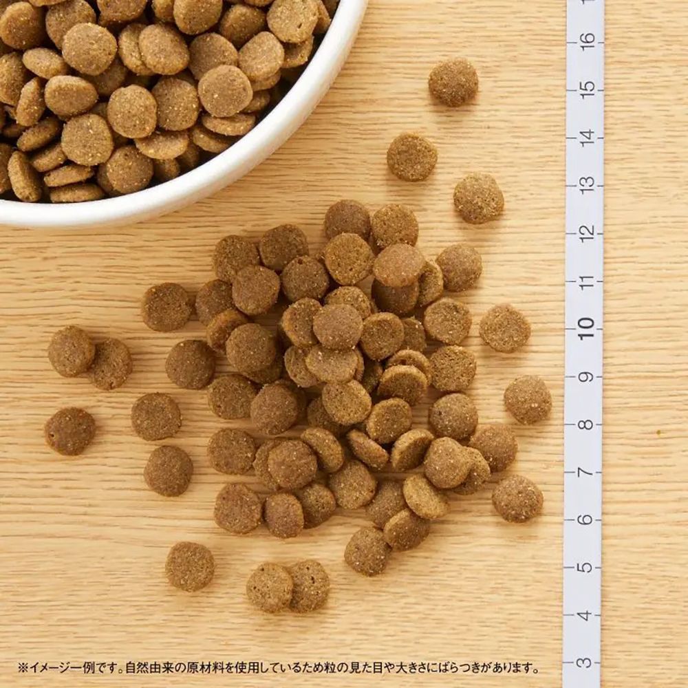 MARS ニュートロ ワイルドレシピ エイジングケア チキン シニア猫用