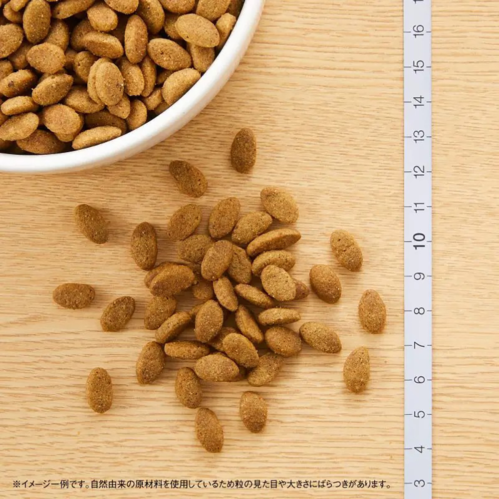MARS ニュートロ シュプレモ 小型犬用 成犬用 3kg(犬・ドッグ)[正規品