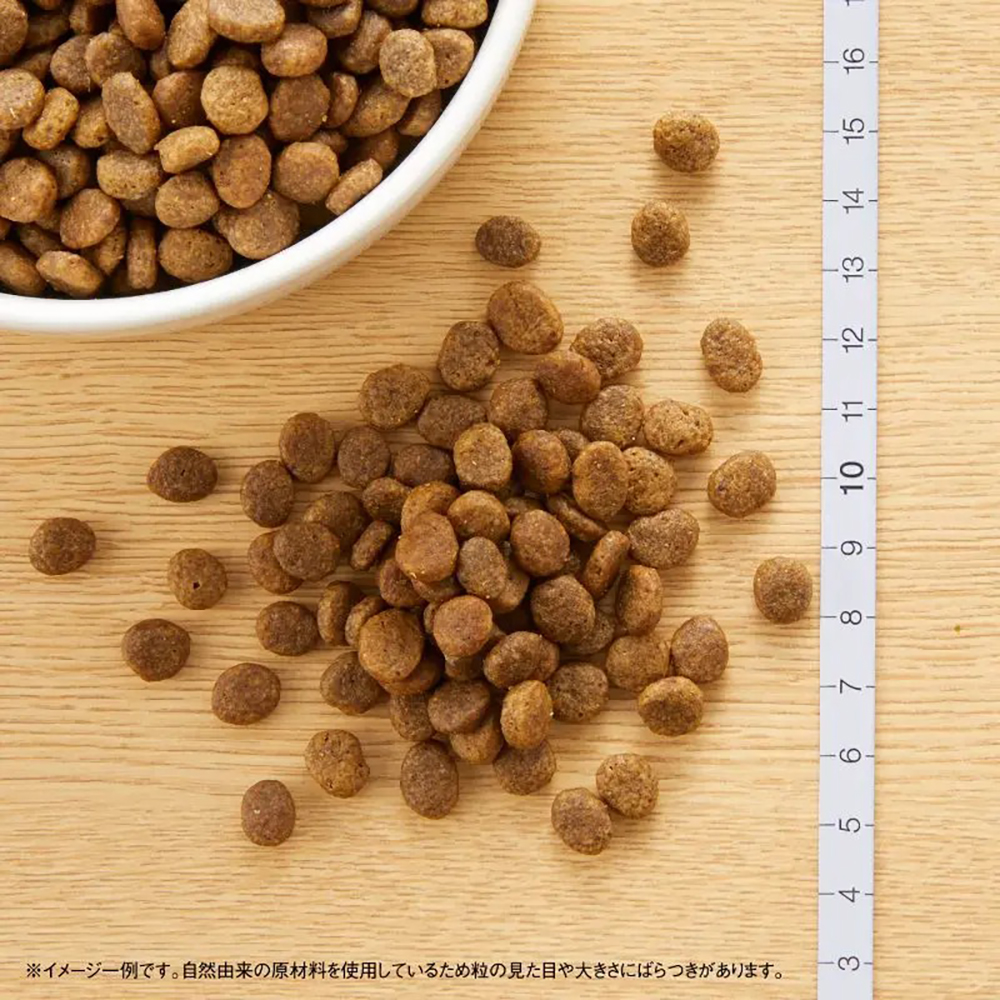 MARS ニュートロ ワイルドレシピ 超小型犬〜小型犬 子犬用 ターキー