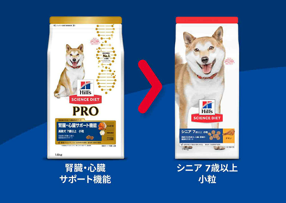 タイムセール❢ Canin 腎臓サポート 　ヒルズ腎臓ケアセット 楽天市場】ヒルズ猫 腎臓サポートの通販