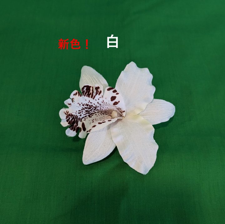 カトレアミニクリップ【商品コード3202】の詳細画像4