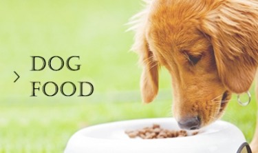 Dog FOOD
