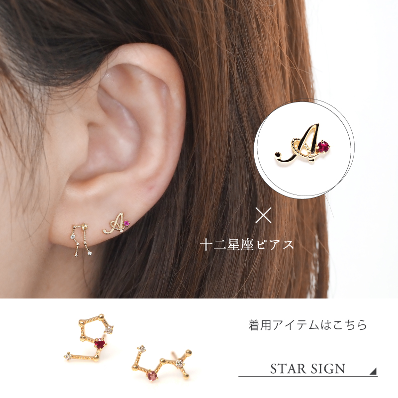 12星座ピアス