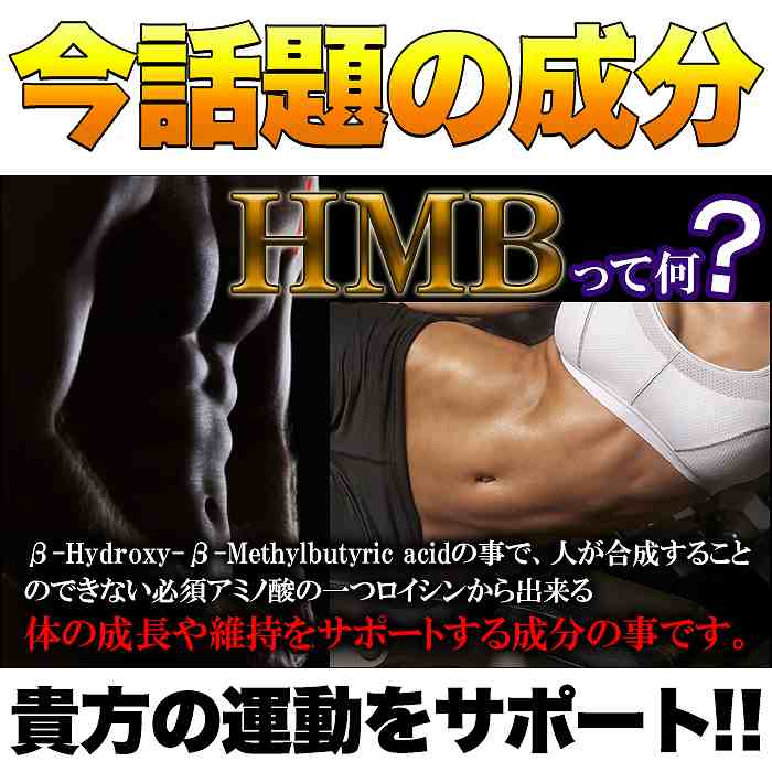 メガ盛り HMBサプリメントどっさり約4ヶ月分...の詳細画像2